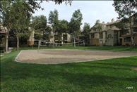 Marquessa - Volleyball Court