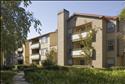 Mill Creek-Milpitas Apartments