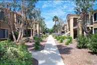 Montierra - Community