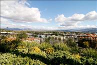 Mountain Terrace - View