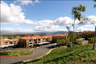 Mountain Terrace - Community