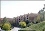Mountain Terrace - Community