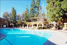 Los Angeles - Oak Park - Oak Park Apartment Homes - Swimming Pool