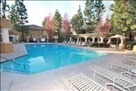 Oak Park Apartment Homes - Swimming Pool
