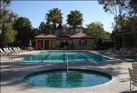 The Oaks - Swimming Pool