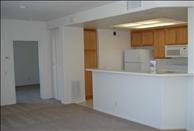 The Oaks - Kitchen