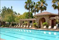 Los Angeles - Santa Clarita - The Oaks Apartments - Swimming Pool