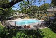 San Francisco Bay - Union City - Parkside - Swimming Pool
