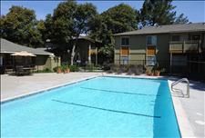 San Francisco Bay - Union City - Parkside - Swimming Pool