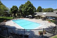 San Francisco Bay - Union City - Parkside - Swimming Pool