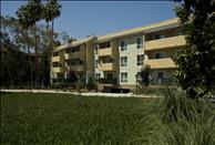 Playa Pacifica - Community