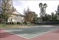 Redlands Lawn and Tennis - Tennis Court