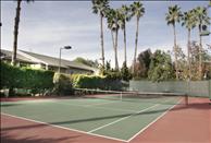 Redlands Lawn and Tennis - Tennis Court