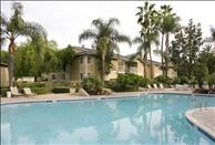 Redlands Lawn and Tennis - Swimming Pool