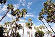 Orange County - Huntington Beach - Regency Palms - Exterior