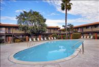 Orange County - Huntington Beach - Regency Palms - Swimming Pool