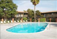 Regency Palms - Swimming Pool