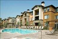 Inland Empire - Rancho Cucamonga - The Reserve at Empire Lakes - Swimming Pool