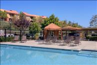 San Diego - Sabre Springs - Ridgewood Village - Swimming Pool
