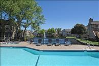 San Francisco Bay - Foster City - Schooner Bay Apartment Homes - Swimming Pool