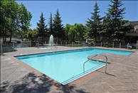 San Francisco Bay - Foster City - Schooner Bay Apartment Homes - Swimming Pool