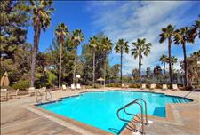 Orange County - Lake Forest - Siena Terrace - Swimming Pool