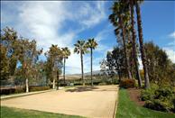 Orange County - Lake Forest - Siena Terrace - Volleyball Court