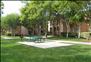 Siena Terrace - Recreation Area