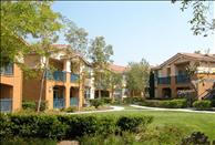 Orange County - Rancho Santa Margarita - Skyview - Community
