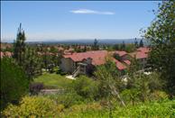 Summerset Village - View