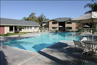 The Ashton - Swimming Pool