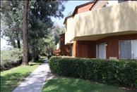 Villa Solana - Swimming Pool
