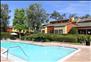 Villa Solana Apartments - Swimming Pool