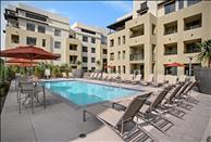 Los Angeles - Old Town Pasadena - Westgate - Swimming Pool