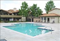 Windridge - Swimming Pool