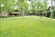 Windridge - Outdoor Area