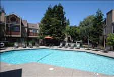 San Francisco Bay - Pleasant Hill - Wood Creek - Swimming Pool