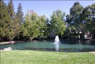 Wood Creek - Fountain