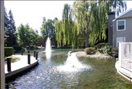 San Francisco Bay - Pleasant Hill - Wood Creek - Fountain