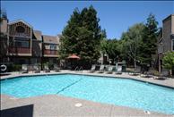 San Francisco Bay - Pleasant Hill - Wood Creek - Swimming Pool
