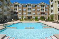 Denver - Cherry Creek - Colorado Pointe - Swimming Pool