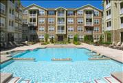 Colorado Pointe - Swimming Pool