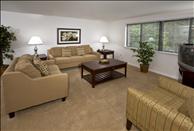 Avon Place - Living Room
