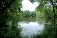 Briar Knoll Apts - Pond