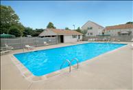 Briar Knoll Apts - Swimming Pool