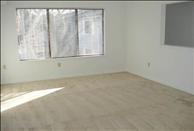 Hartford - Enfield - Fox Hill Apartments - Living Room