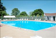 Fox Hill Apartments - Swimming Pool