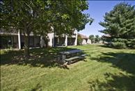 High Meadow - Picnic Area
