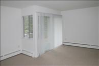 Summit and Birch Hill - Living Room