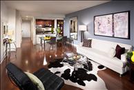 425 Mass - Living Room